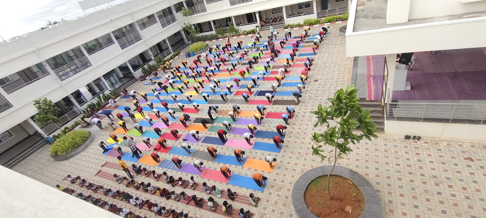 RVK – Keruru Observes International Yoga Day (3)